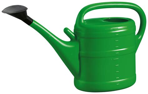 The Future of Plant Care: The Pocpyp Magical Watering Can